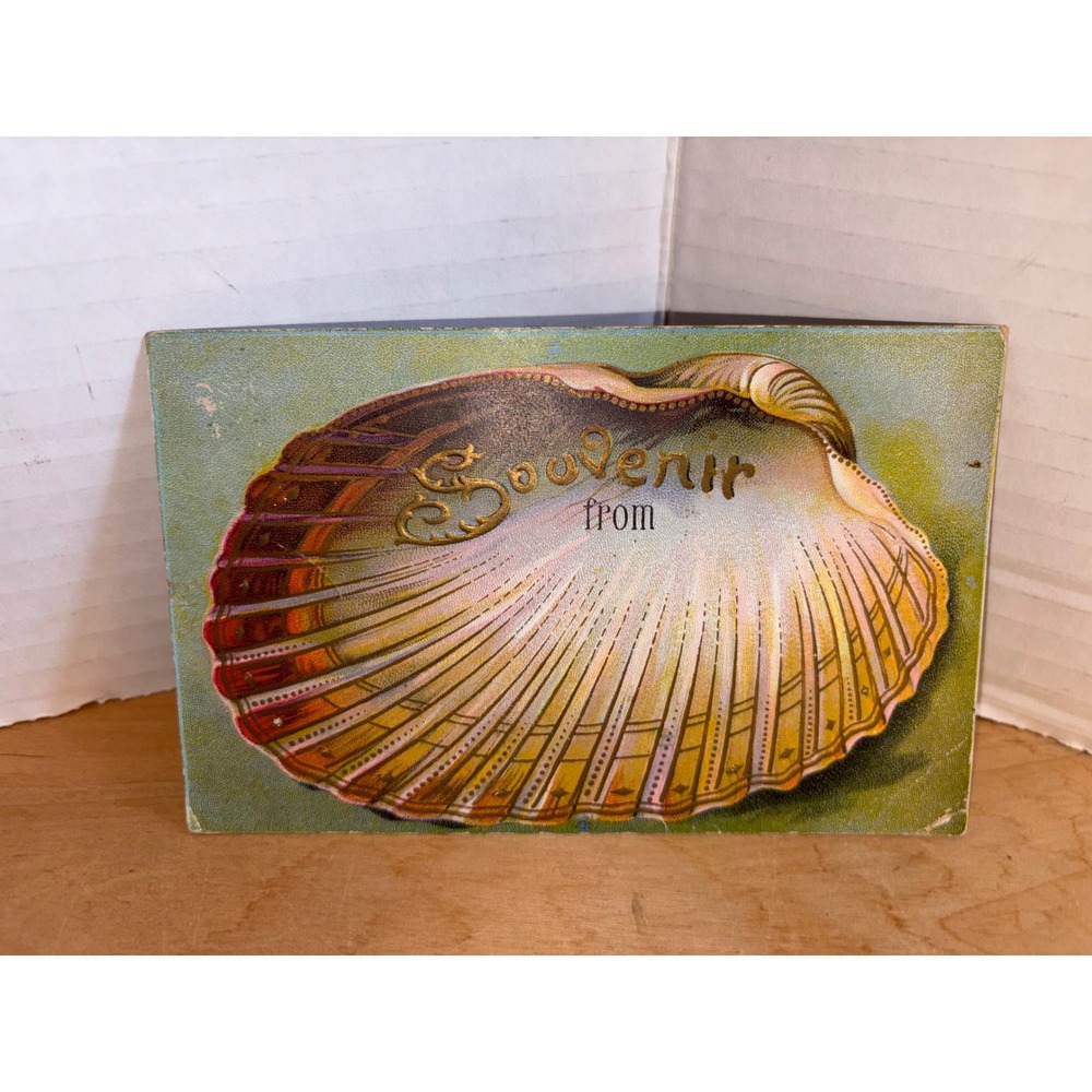 Antique Seashell Souvenir Embossed Postcard - Early 1900s Undivided Back